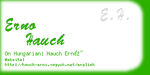 erno hauch business card
